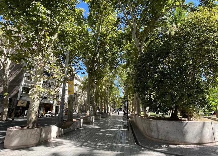 Departamentos Del Sol Para 4 Personas Reciclado A Nuevo